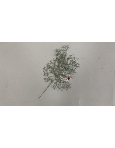 Fiore Natalizio, Foglia Corallo Glitter Menta 33cm 
