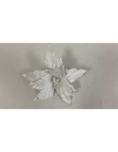 Fiore Natalizio, Stella di Natale Bianco 25cm 