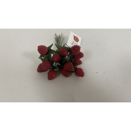 Fiore Natalizio, Mazzetto 12 Fragole