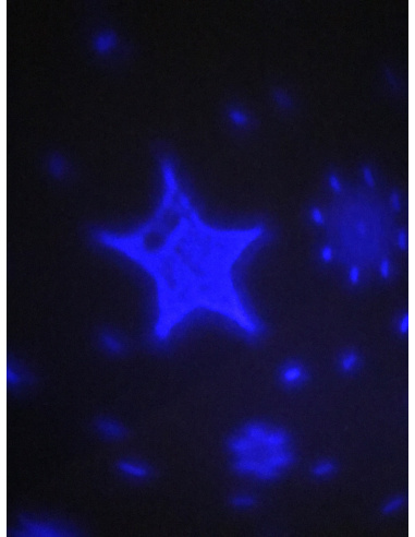 Proiettore led natalizio diam.16x13cm