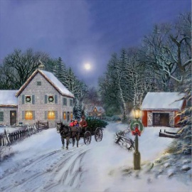 Cuscino con LED a Batteria, 45x45 cm, Babbo in Bici