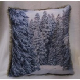 Cuscino con LED a Batteria, 45x45 cm, Casa Rossa