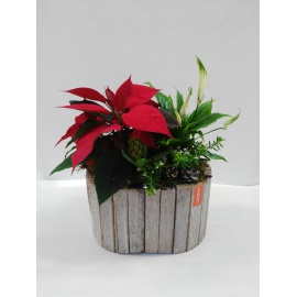 STELLA DI NATALE CON COMPOSIZIONE VASO IN LEGNO