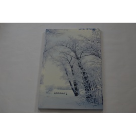 Quadro Luminoso, Alberi e... 2