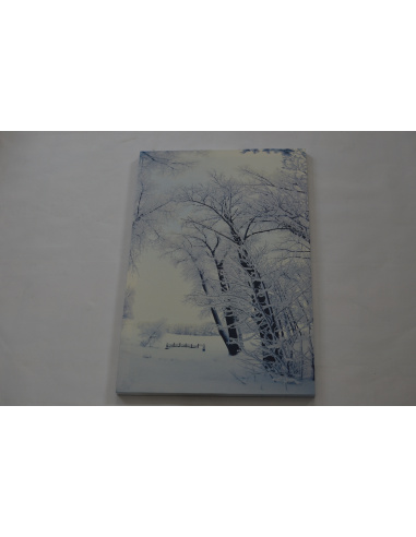 Quadro Luminoso, Alberi e prati innevati 40 x 60cm