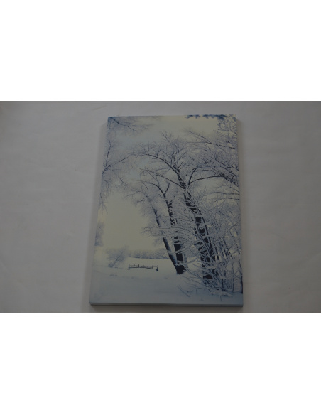 Quadro Luminoso, Alberi e prati innevati 40 x 60cm