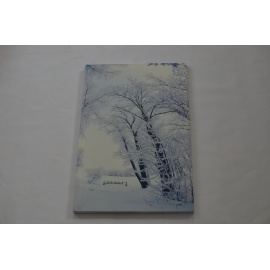 Quadro Luminoso, Alberi e...