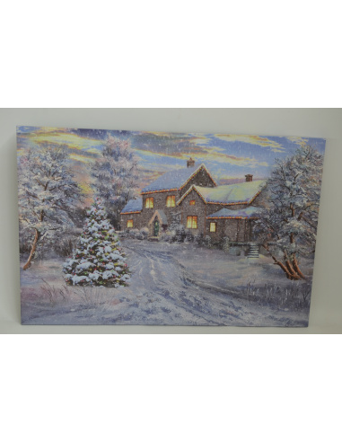 Quadro Luminoso, Nevicata su Casa e Alberi