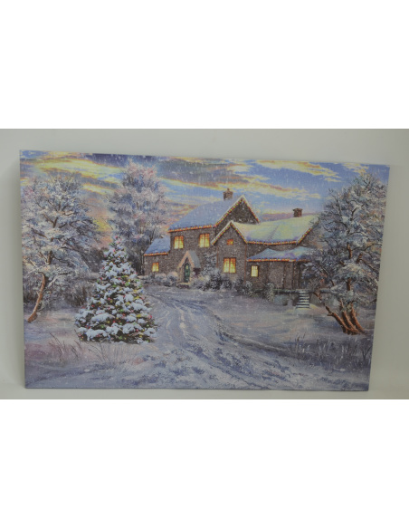 Quadro Luminoso, Nevicata su Casa e Alberi