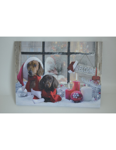 Quadro Luminoso, Bassotti Natalizi...