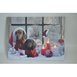 Quadro Luminoso, Bassotti...