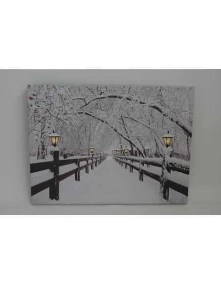 Quadro Luminoso, Viale Alberato nel parco 30x40 cm 
