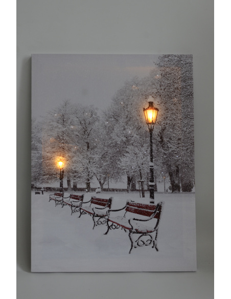 Quadro Luminoso, Panchine e lampioni nel parco 30x40 cm 