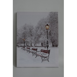 Quadro Luminoso, Panchine e lampioni nel parco 30x40 cm  2
