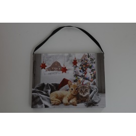 Quadro Luminoso, Gatti con...