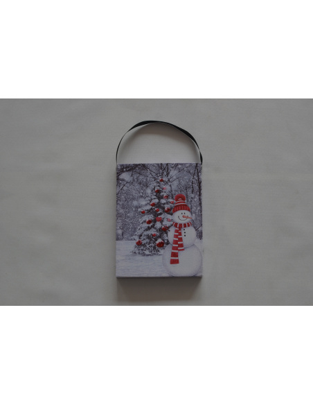 Quadro Luminoso, pupazzo di neve 20x15 cm 