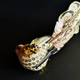 Uccellino Coda Lunga con... 2