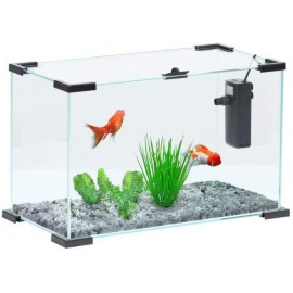 Acquario  first 20 Zolux