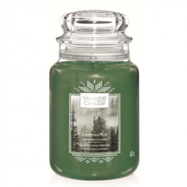 YANKEE CANDLE GLITTERING STAR