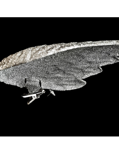 Ali Angelo con Clip, Glitter Argento,...