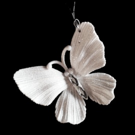 Farfalla/Libellula con... 2