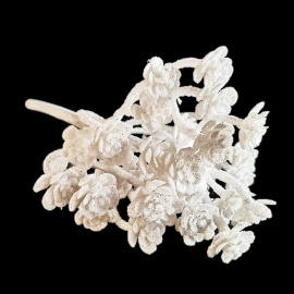 Renna, Acrilico Bianco con Glitter, 18 cm 2