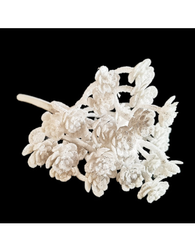 Ramo finto di Pianta Grassa, Bianco...