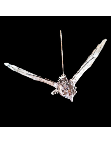 Uccellino in volo, Acrilico...