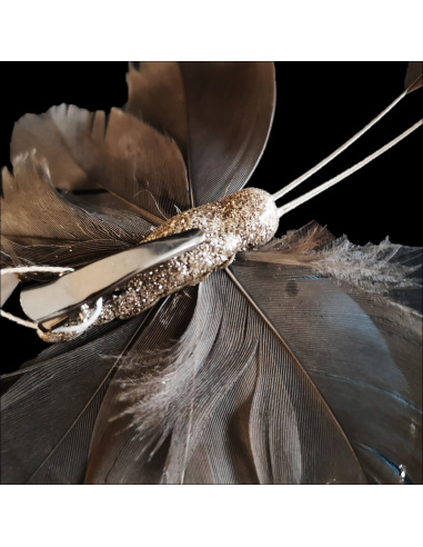 Farfalla con Clip, Tortora e Azzurra,...