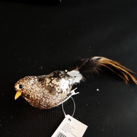 Uccellino Coda Lunga con... 2