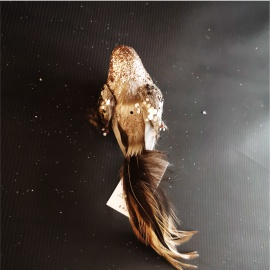 Uccellino Coda Lunga con...