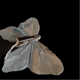 Farfalla con Clip, Tortora e Azzurra, Glitter Champagne, 13x9,5 cm 2