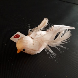 Uccellino Coda Lunga con... 2