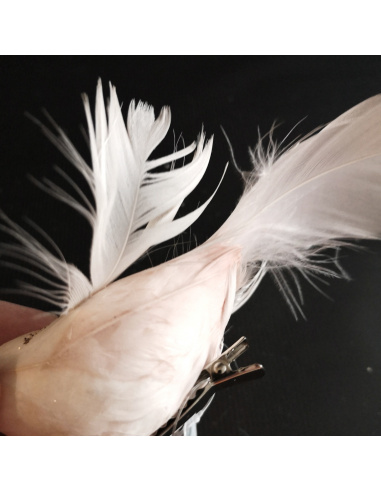 Uccellino Coda Lunga con Clip, 14 cm,...