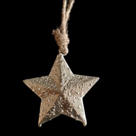 Ornamento Cerchio con Renna, Legno Bianco, 11 cm