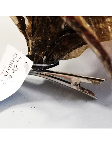 Fiore Natalizio, Stella di Natale...