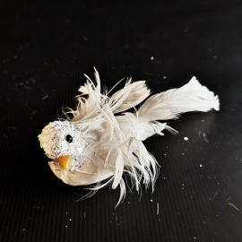 Uccellino Coda Lunga con...