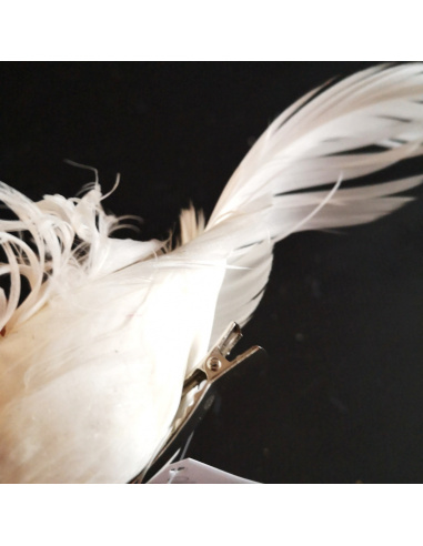 Uccellino Coda Lunga con Clip, 14 cm,...