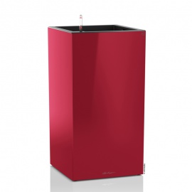 LECHUZA  CANTO PREMIUM ROSSO