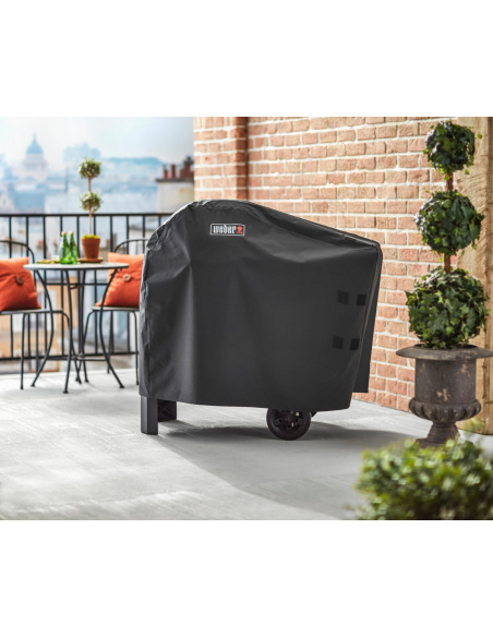 CUSTODIA PER WEBER PULSE 2000 CON CARRELLO