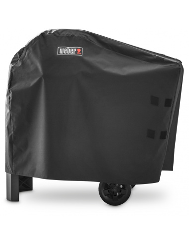 CUSTODIA PER WEBER PULSE 2000 CON...