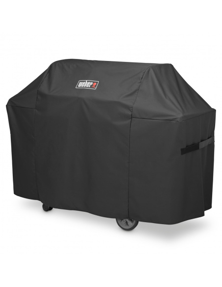 CUSTODIA PER WEBER GENESIS II SERIE 400