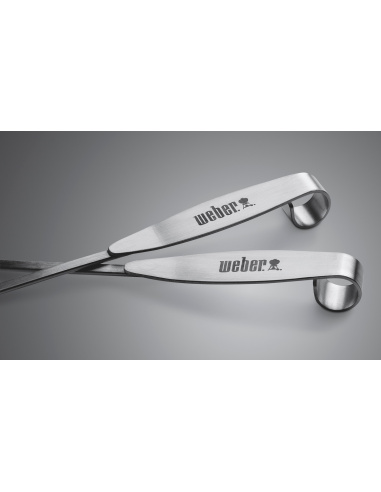 SET DI 4 SPIEDINI WEBER ETGS