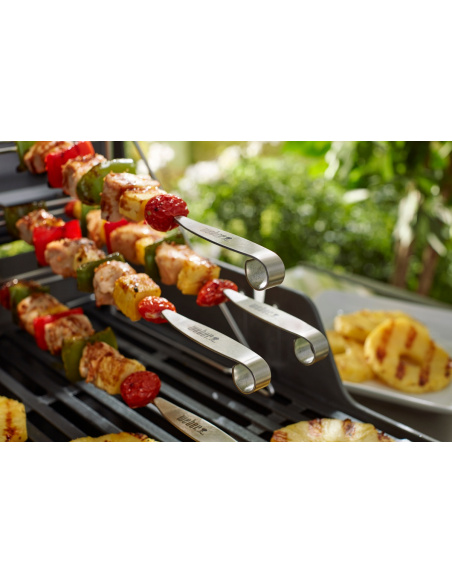 SET DI 4 SPIEDINI WEBER ETGS