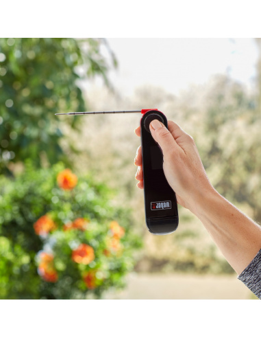 TERMOMETRO WEBER A LETTURA RAPIDA...