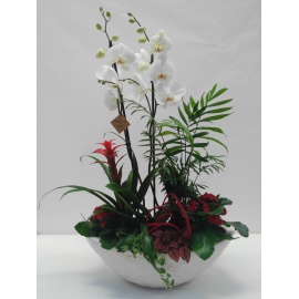COMPOSIZIONE ORCHIDEA PHALAENOPSIS CON CASPO' IN CERAMICA 