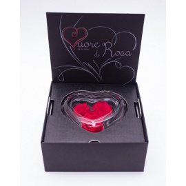 ARS NOVA CUORE DI ROSA STABILIZZATA