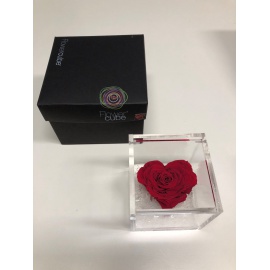 ARS NOVA FLOWERCUBE 8X8 ROSA A CUORE