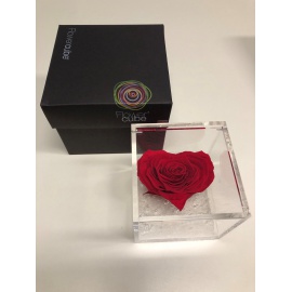 ARS NOVA FLOWERCUBE 10X10 ROSA A CUORE