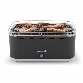 GRIGLIA PORTATILE BARBECOOK... 2